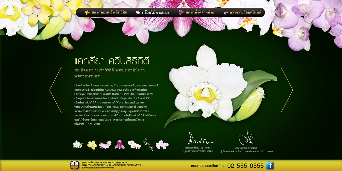 Thailand Bangkok KETCHUPBOYZ baz Bank girl green Thai