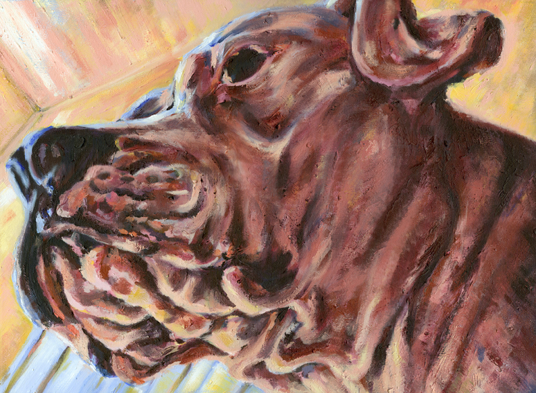 oil acrylic dogs canine portrait Portraiture