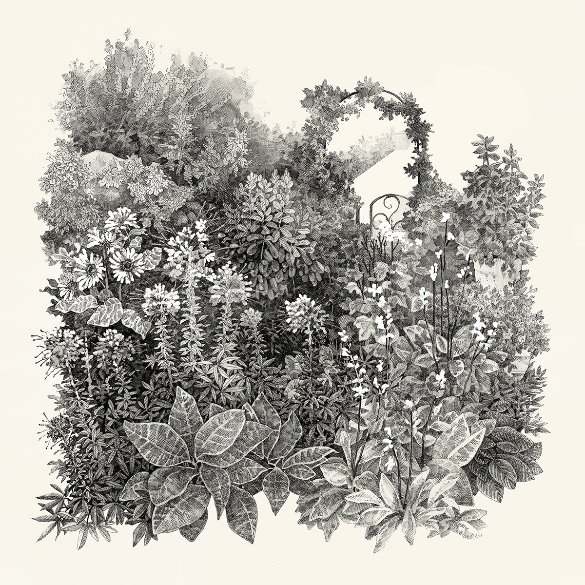 Nature Flowers garden detail plants ink microns