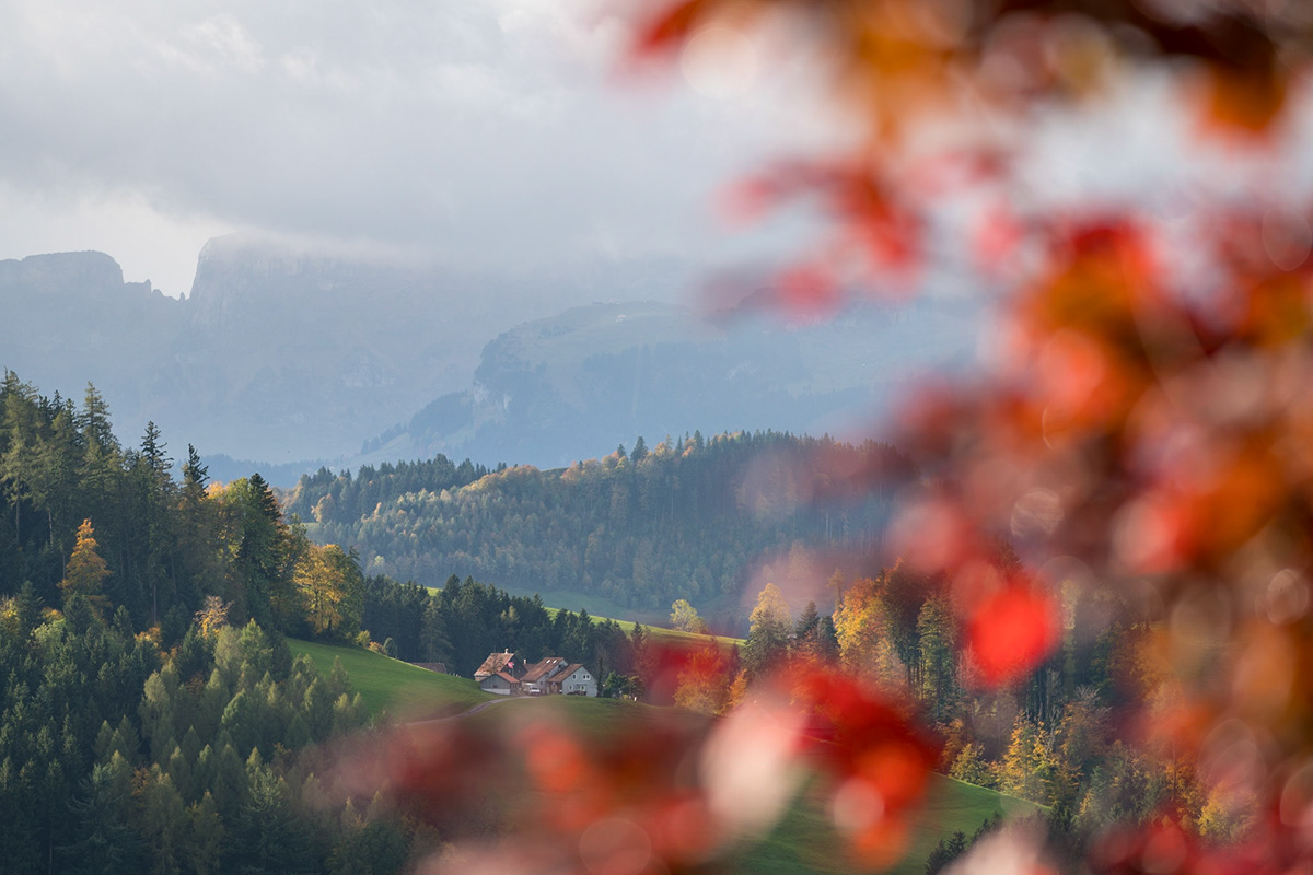 Alpstein appenzell autumn Cottage Fall landscape photography lightroom mountain sonyalpha swiss alps