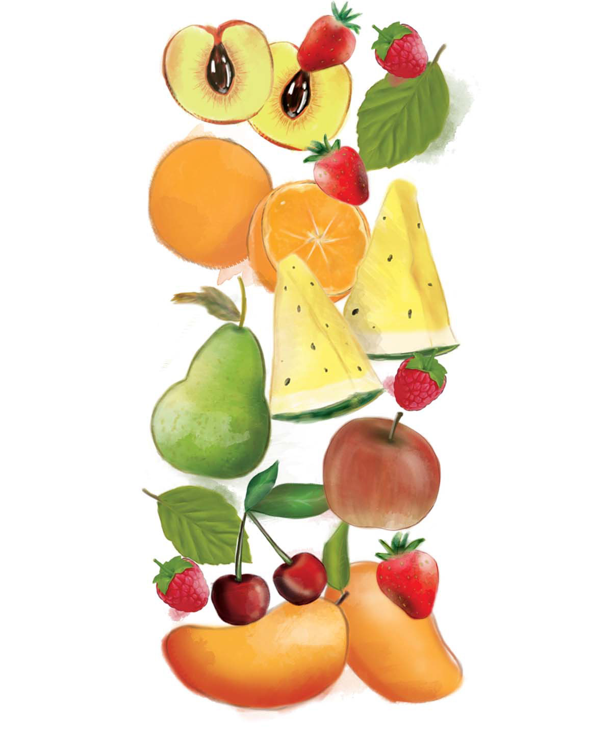 Fruit promoitems CIS corporateidentity Pack packagingdesign digitalpainting watercolor watercolorpaint brand colorful colorfuldesign  Label logodesign
