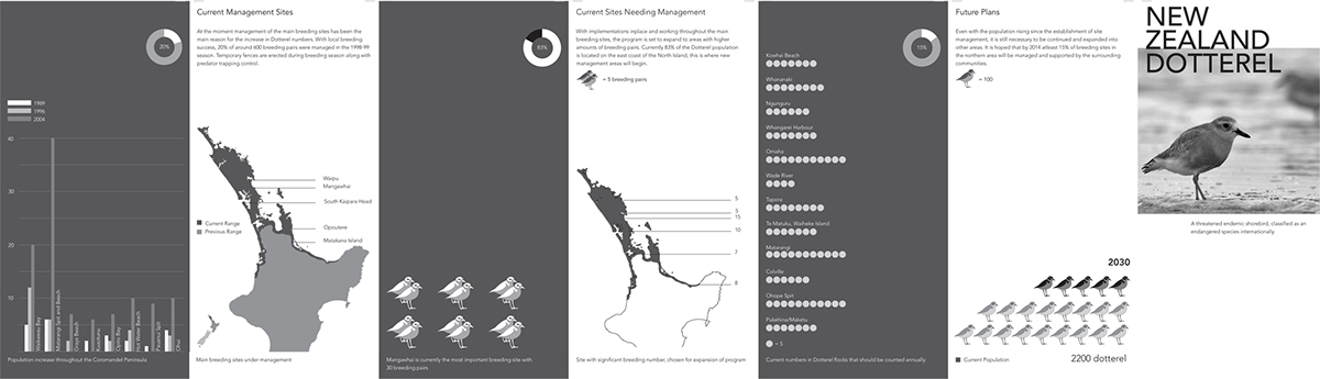 inforgraphics brochure type graphics information graphics black and white