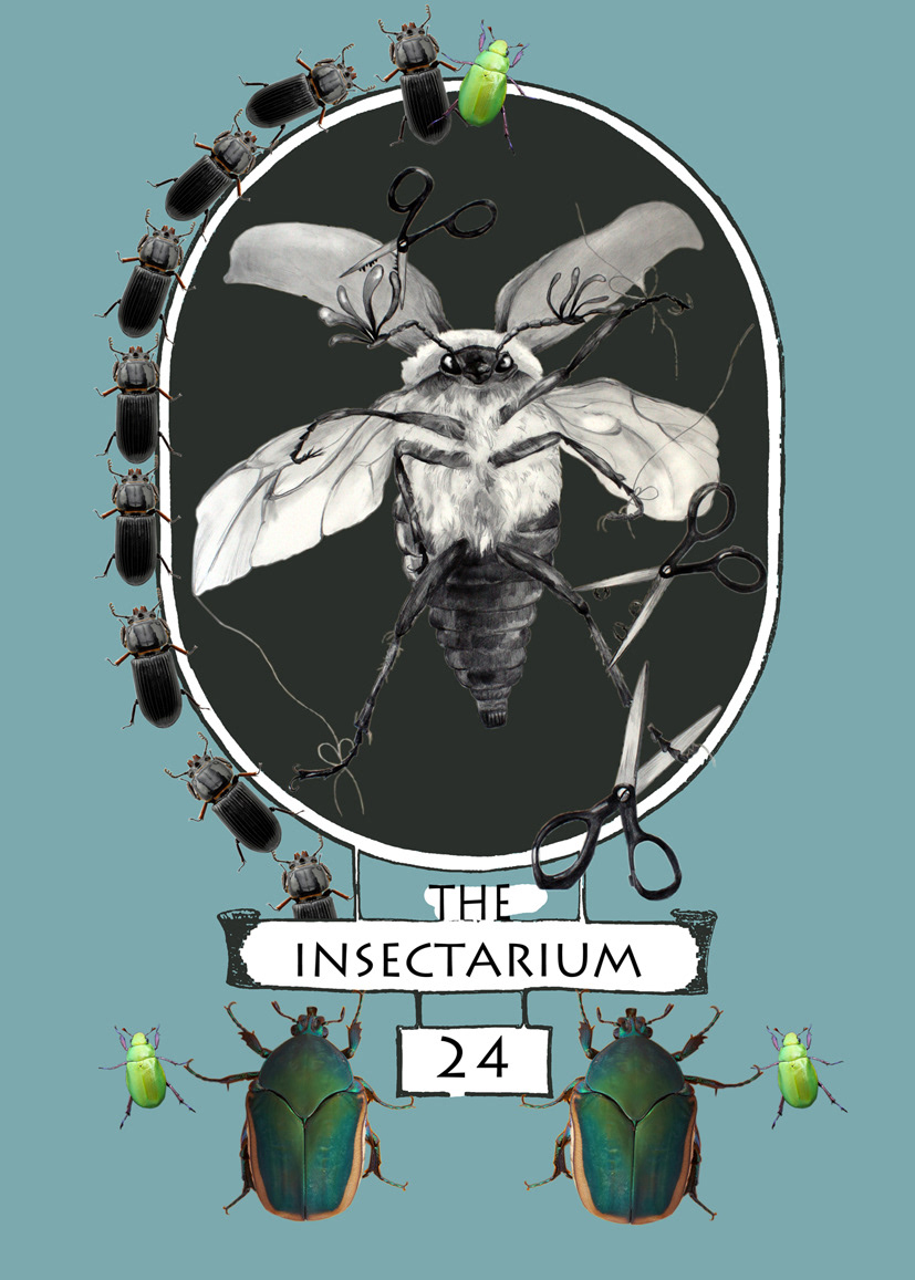 insectarium bugs entomology Insects tina_gez valentina gaz Advertising Graphic Design illustrations