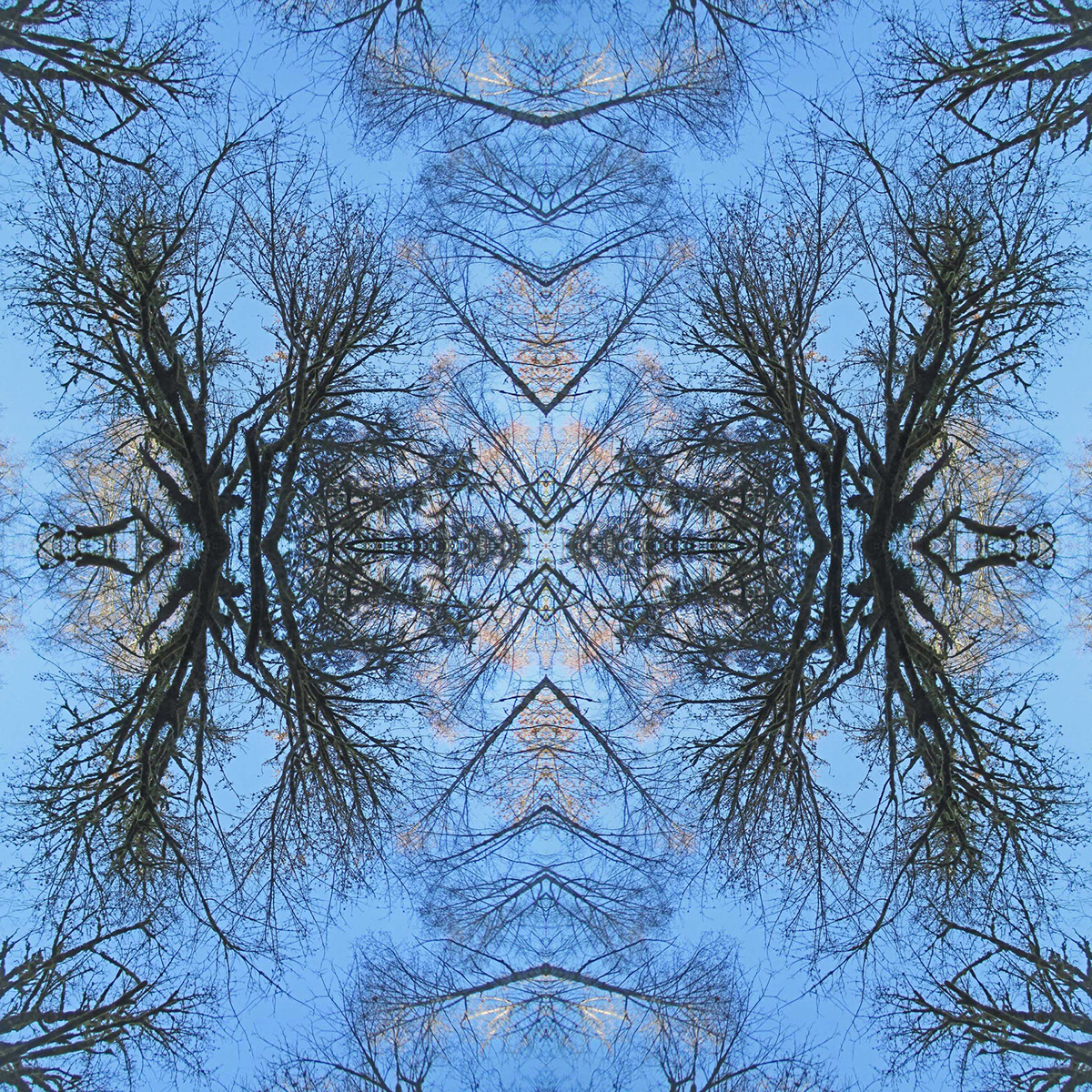 reflections subliminal sproat lake fossli provincial park forest digital prints