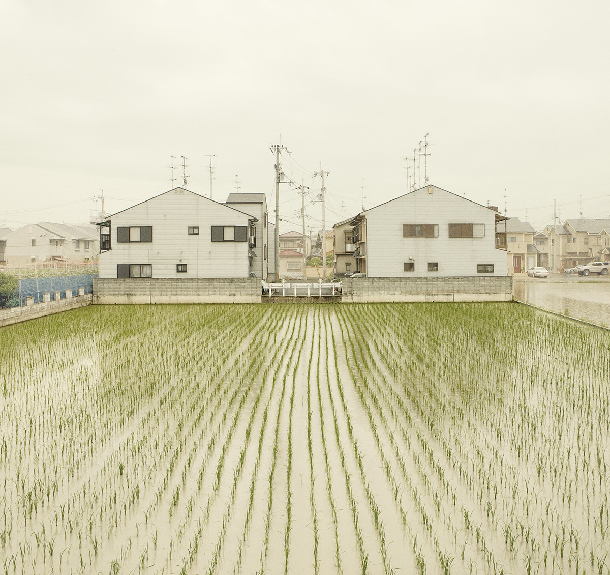 kyoto Landscape Christian Schmidt Rice Ricefields houses japan