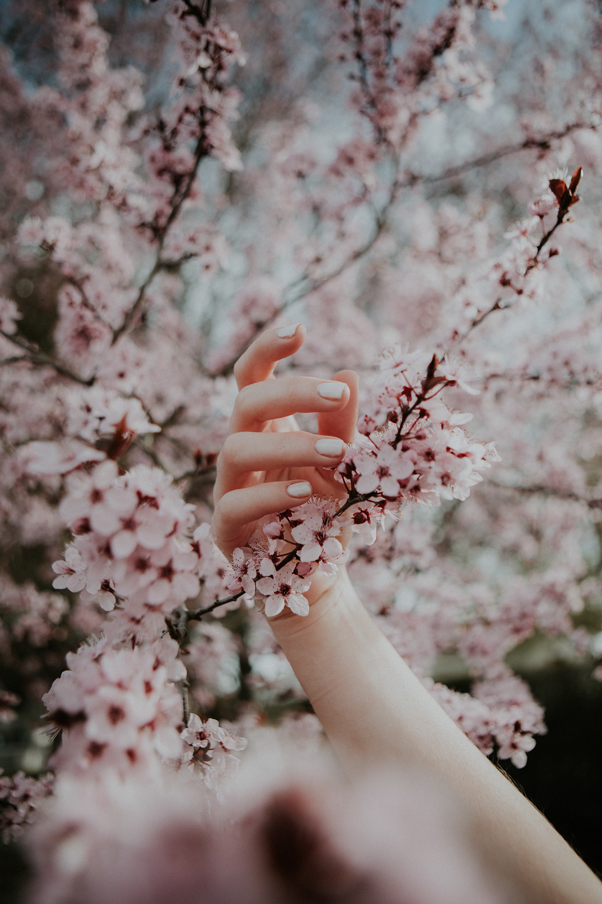 Flowers hands pink femme sensitivity calm beauty