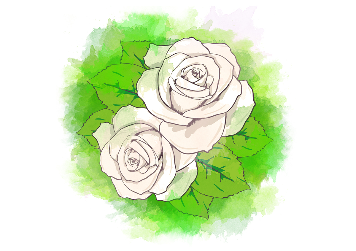Adobe Portfolio naoya wedding invitations spring craft paper white rose Roses invites vector water colour paint