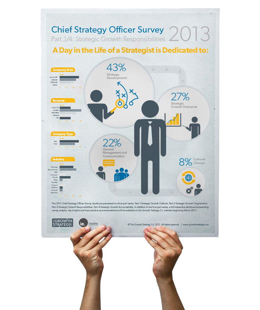 infographics  Growth Strategy CEO  business cso