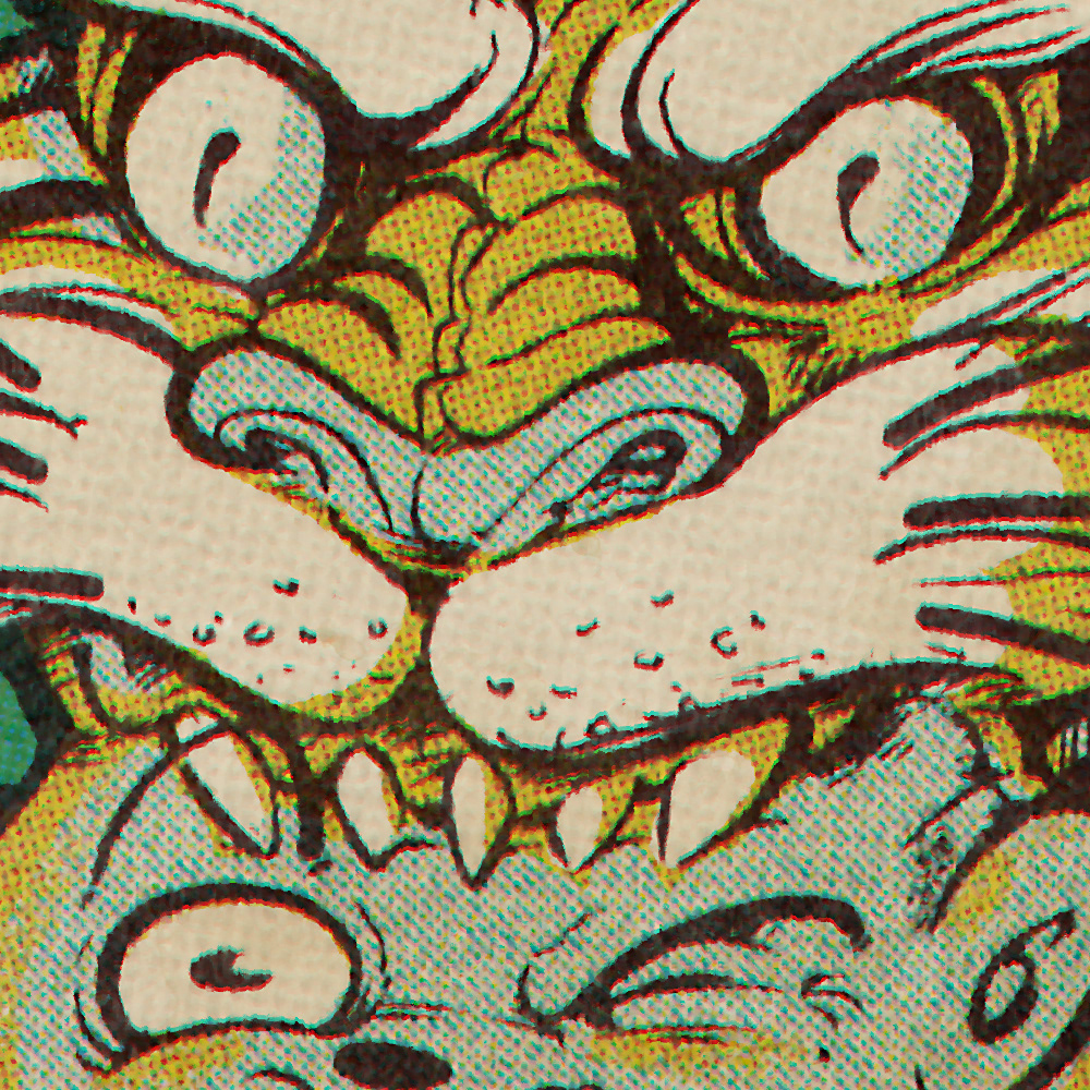art cartoon color Drawing  ILLUSTRATION  lowbrow print texture tiger