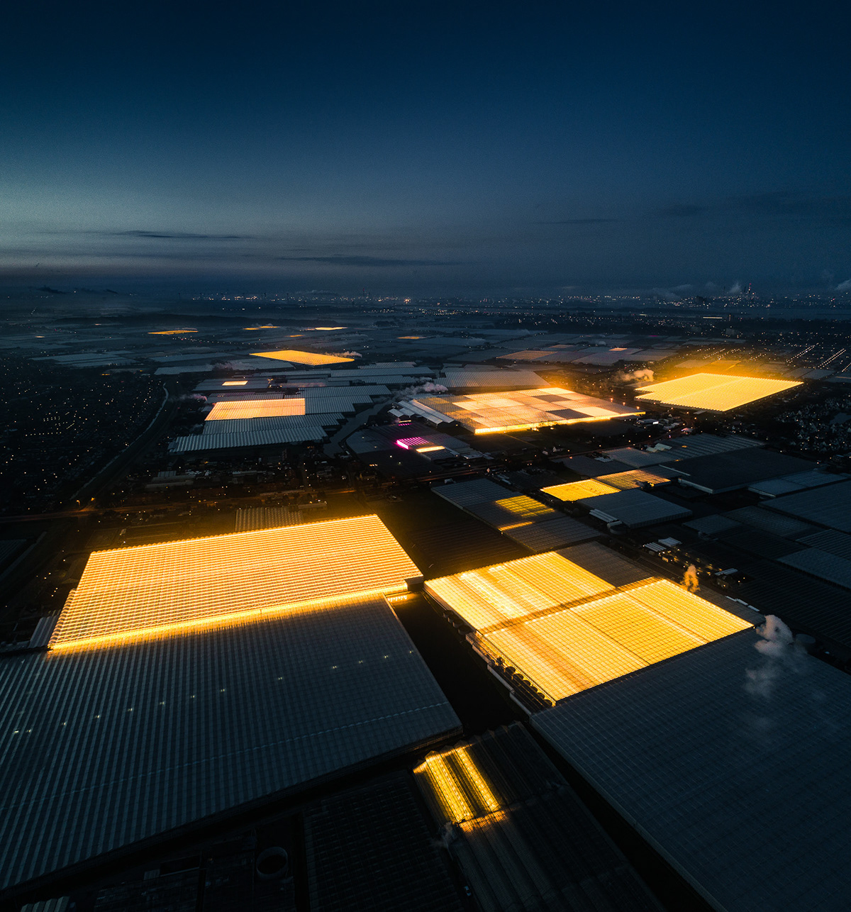 Aerial Netherlands fields greenhouse led light night cityscape architecture agriculture