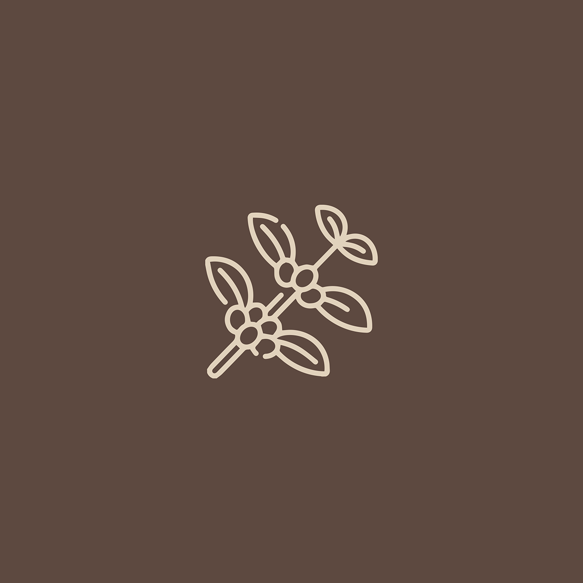 adobe illustrator Brand Design Coffee design logo Logo Design logos vector