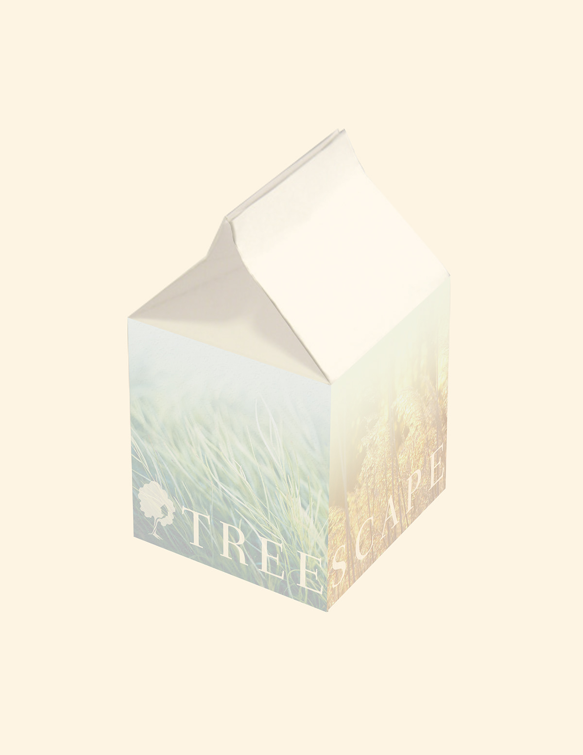 Treehouse company logo symbol combination mark box thank you card escape identity