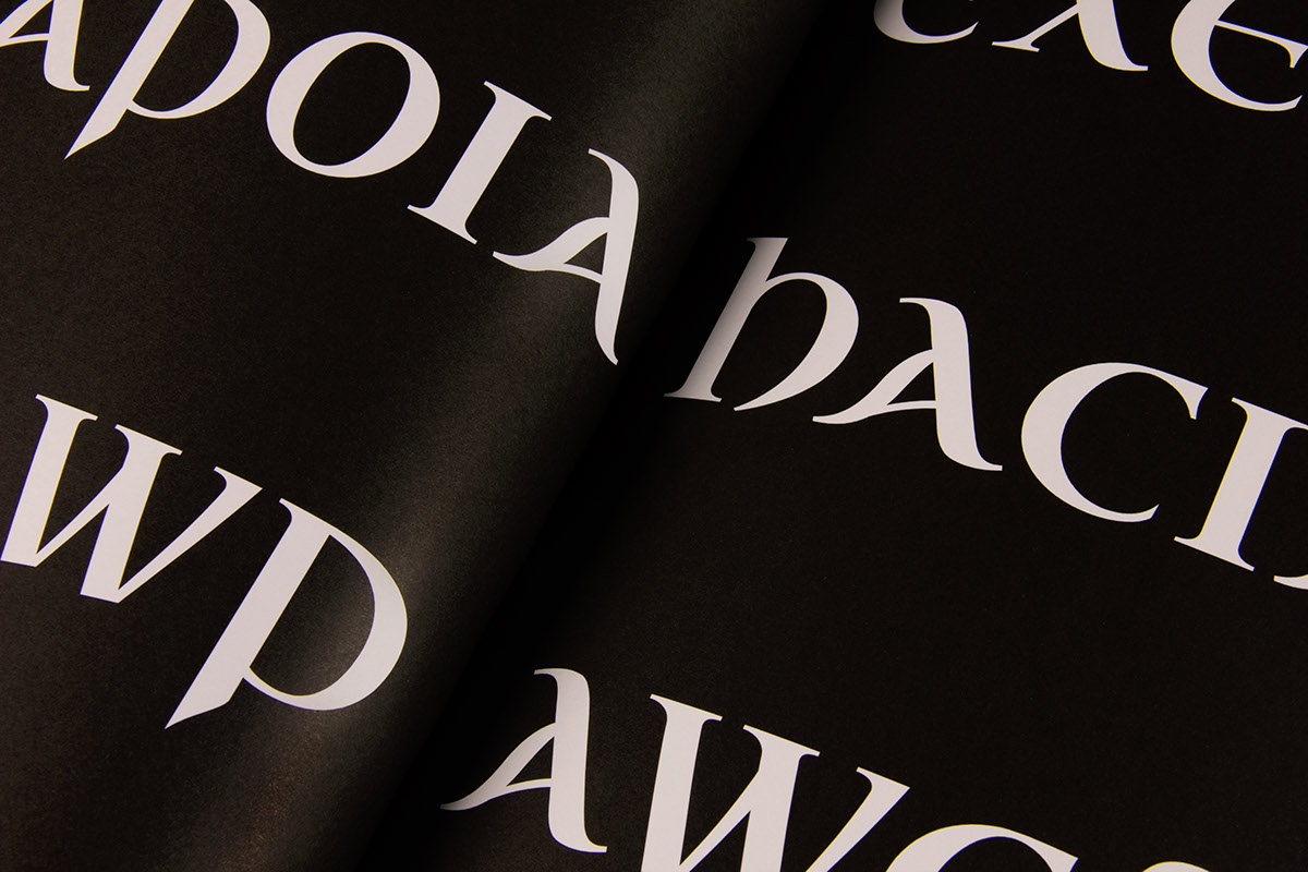 typography   Typographic Design editorial Layout Design typographic editorial design  book design istd ISTD 2017 istd merit