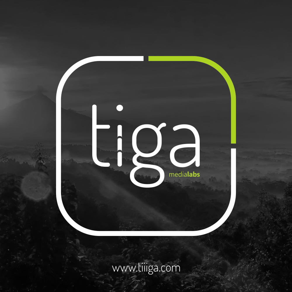 logo branding  artwork design tiiiga