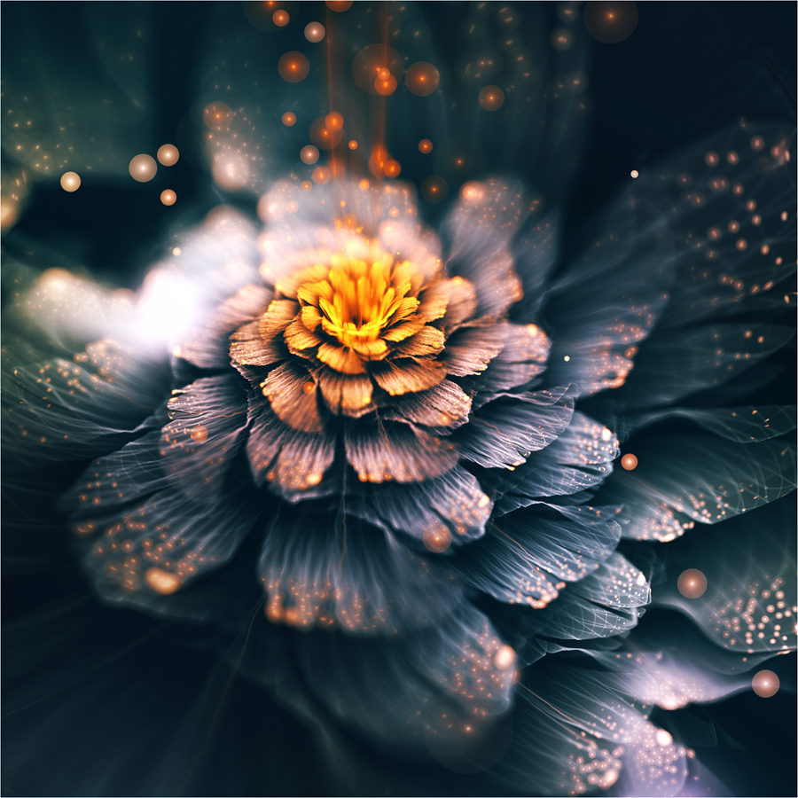 apophysis fractal flame 3D flower light organic Nature digital art