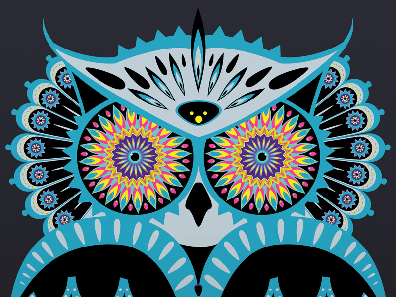 Illustrator owl kaleidoscope colours