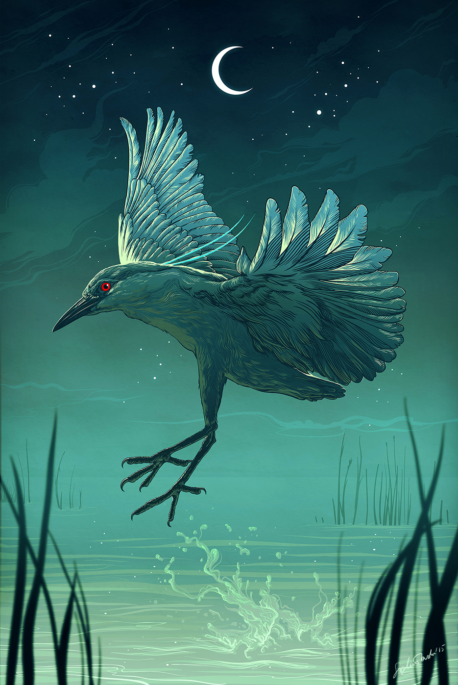 night heron bird water bird wings night endangered Rare green