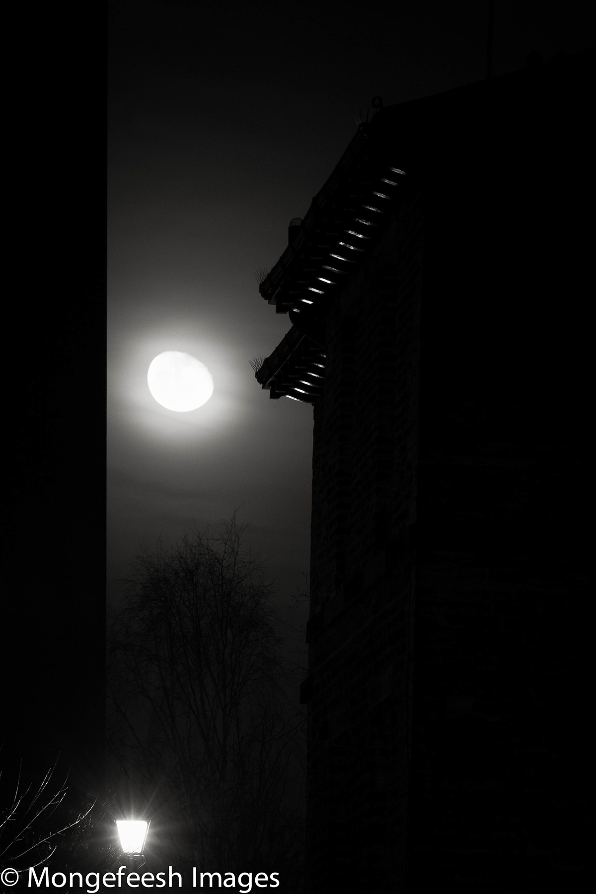 night darkness Shadows moon streets fuji town Cobbles