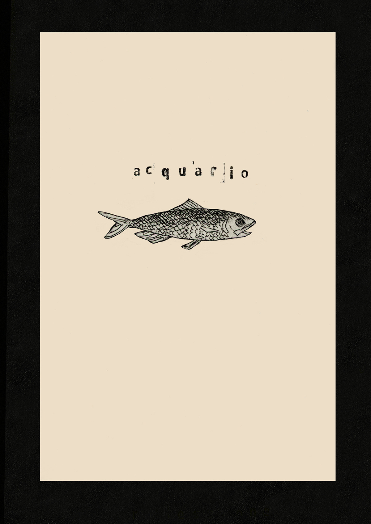 acquaforte blackandwhite engraving ILLUSTRATION  illustrazione incisione pensieri pesci