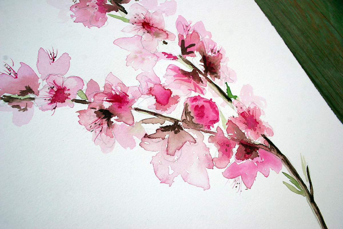 peach flowers flowers watercolor silvia cairol