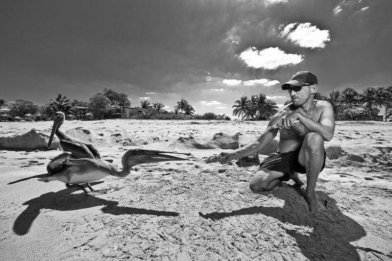 cuba pelican Fisherman sea beach b&w editorial bird friends animal