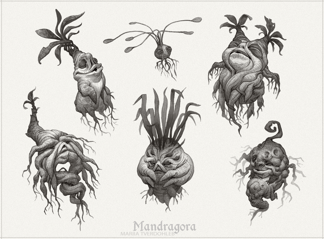 concept concept art creature harry potter mandragora plants roots sketch sketchbook tverdohleb