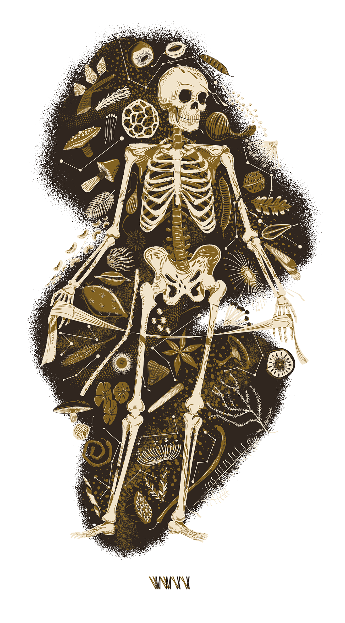 botanical print skeleton
