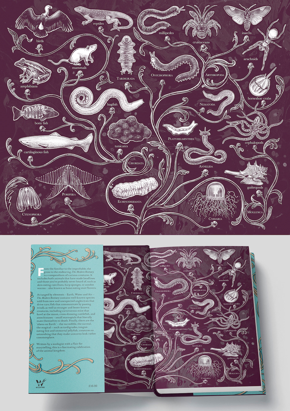 animal Bestiary book cover book design endpapers medieval ornate science scientific illustration zoology