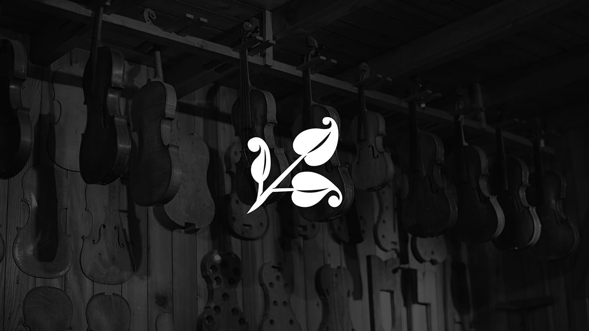 luthier arbol Cellista Cali colombia madera artesanal guitar music graphicdesign