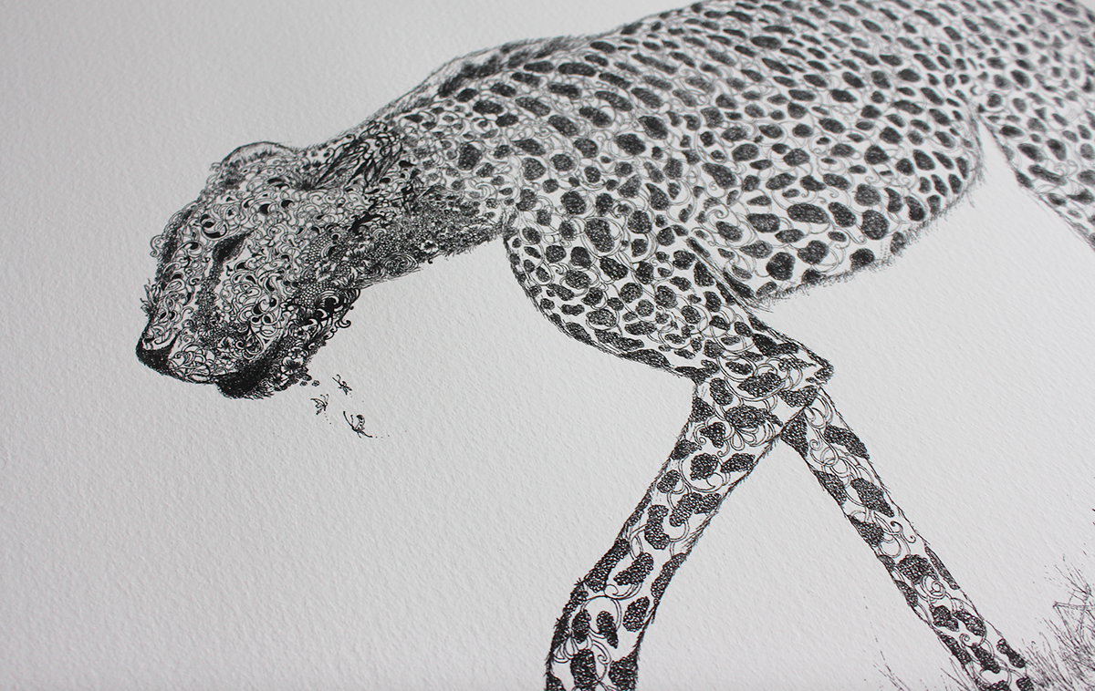 cheetah Art illustration detail
