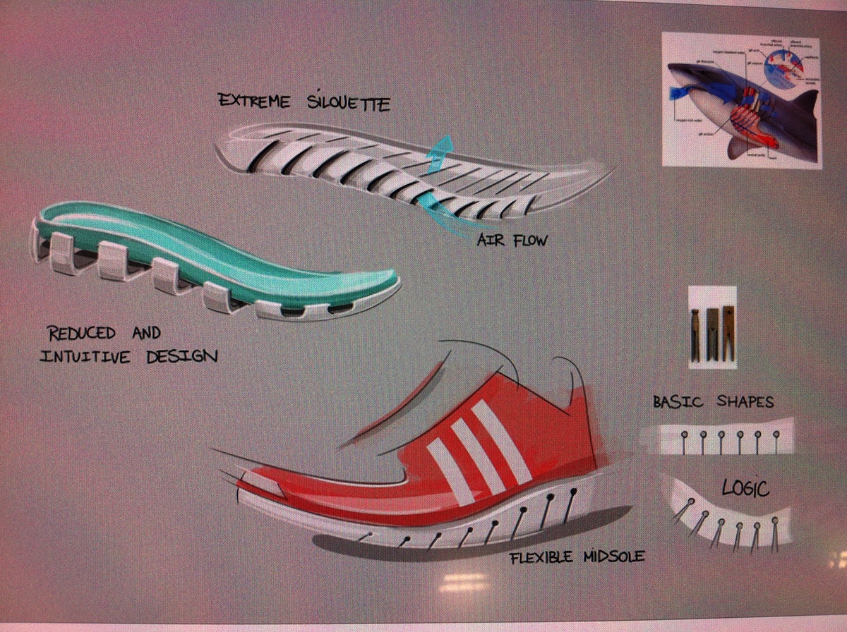 sketch footwear design adidas training slides running