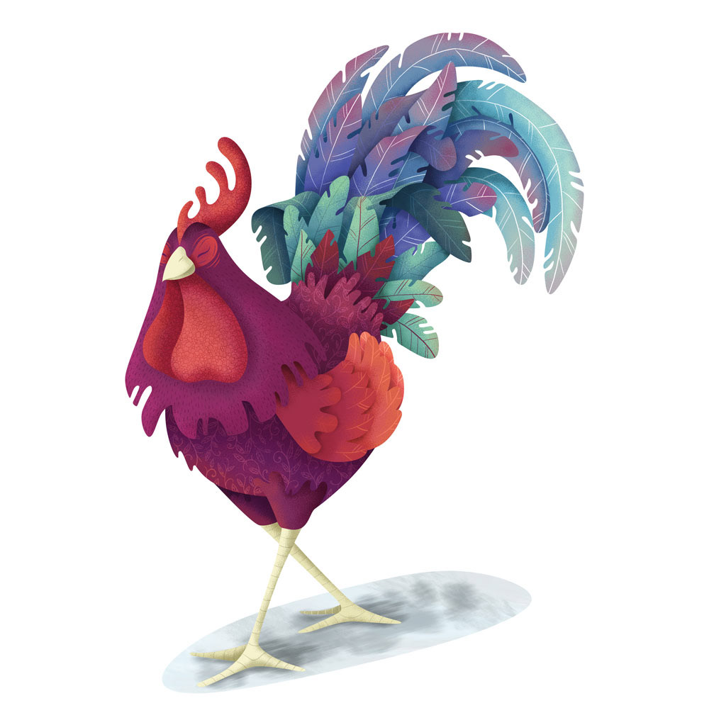 animals llama Rooster chicken donkey sheep ILLUSTRATION  Illustrator photoshop texture