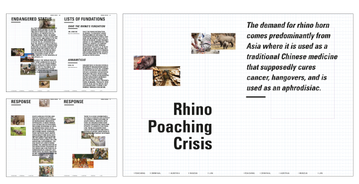 Rhino poaching online offline Wildlife Trade africa saving endangered myth truth