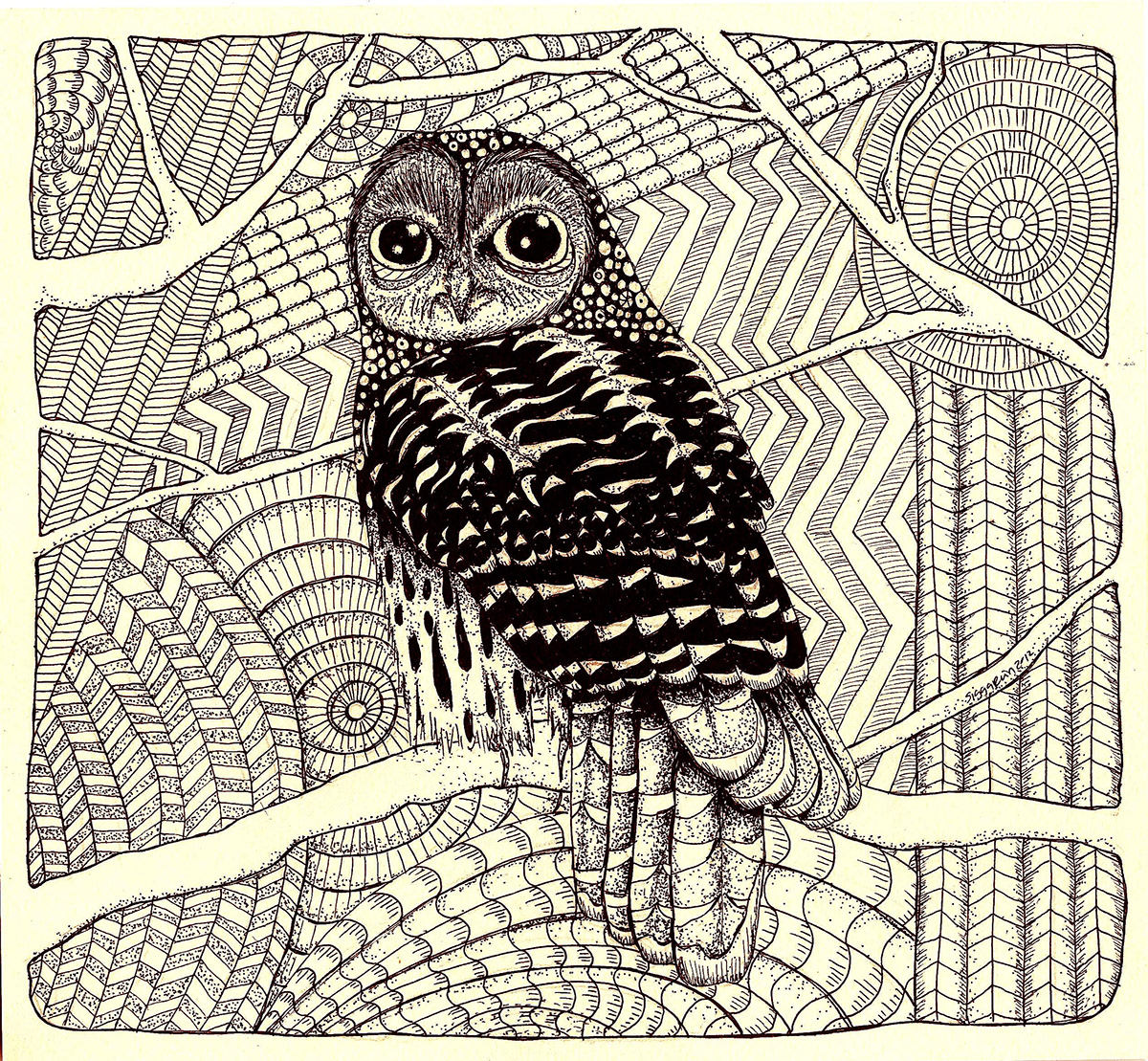 birds  illustrate ink pencil paper black iceland eyes animals