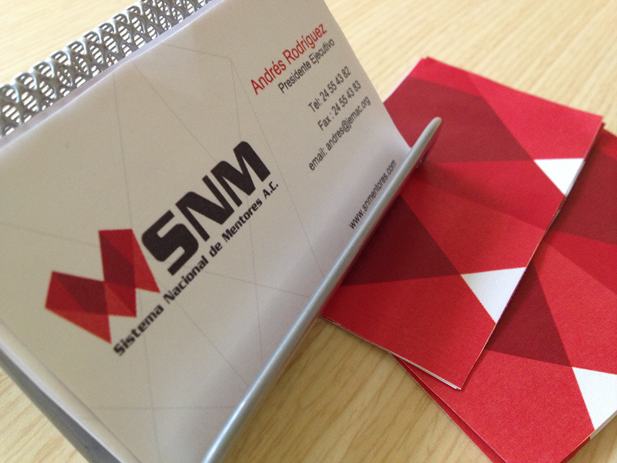 snm logo Logotipo empresa PYME Mentores consultoria