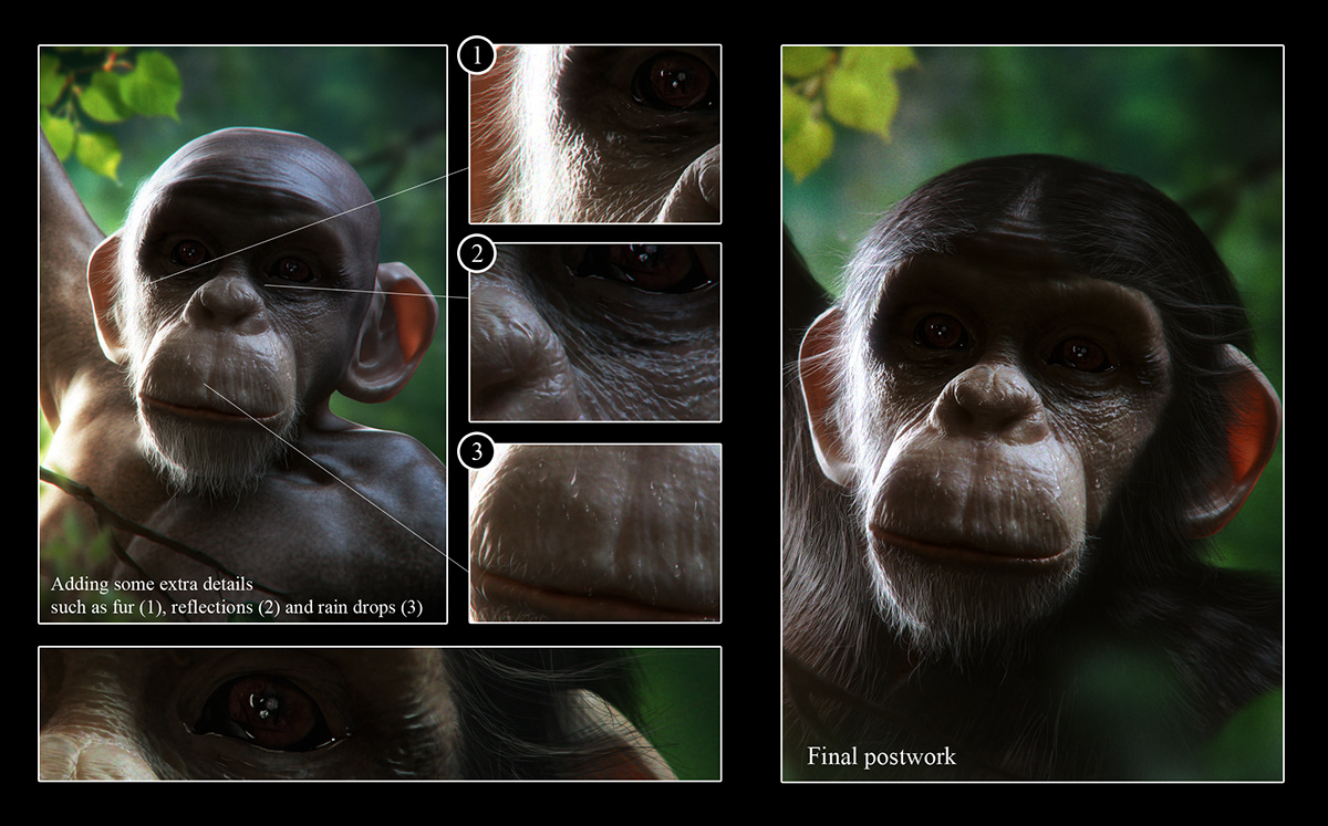 monkey chimp forest trees environment rain forest vray 3ds max photoshop Fur