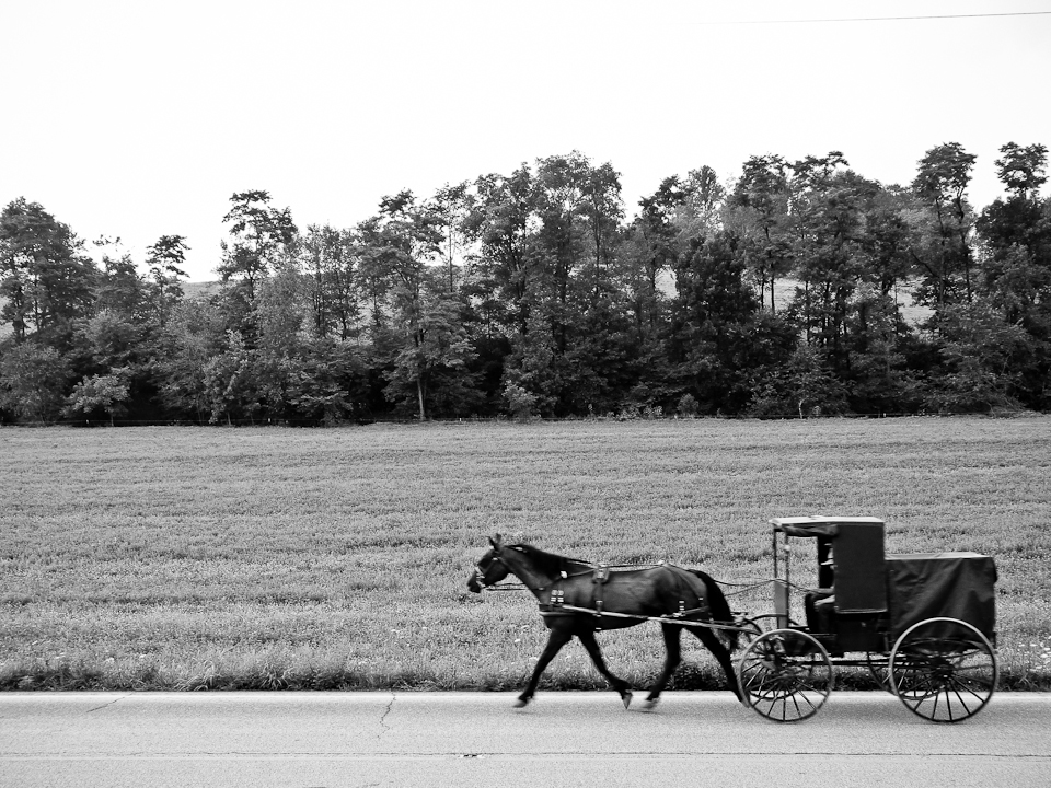 Amish mennonite amish country bw black and white american religion ohio Pennsylvania dutch indiana country usa united states