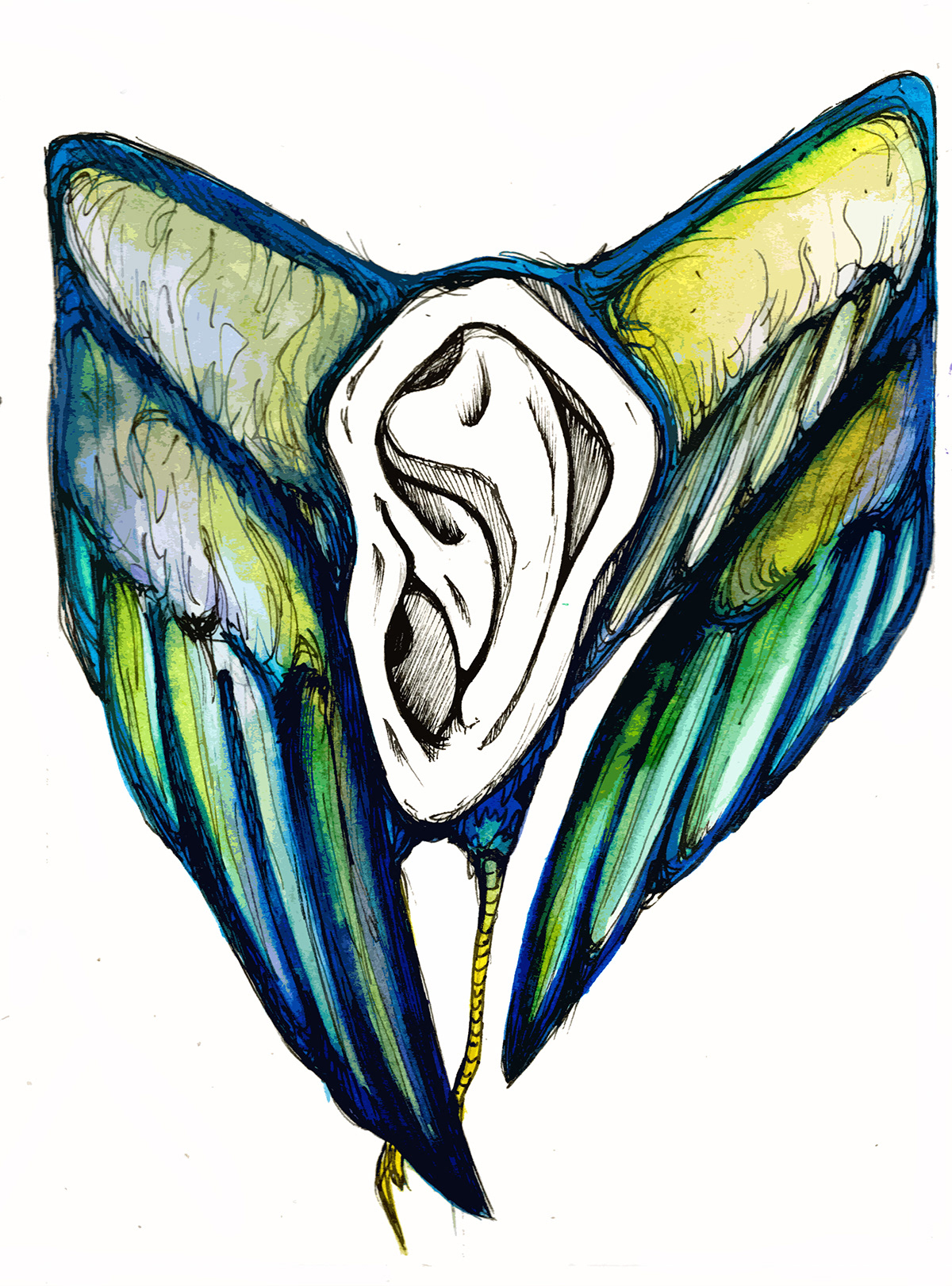 noise noises ear ears abstract psychedelic wings doodle emotion sound Adobe Photoshop watercolor watercolour