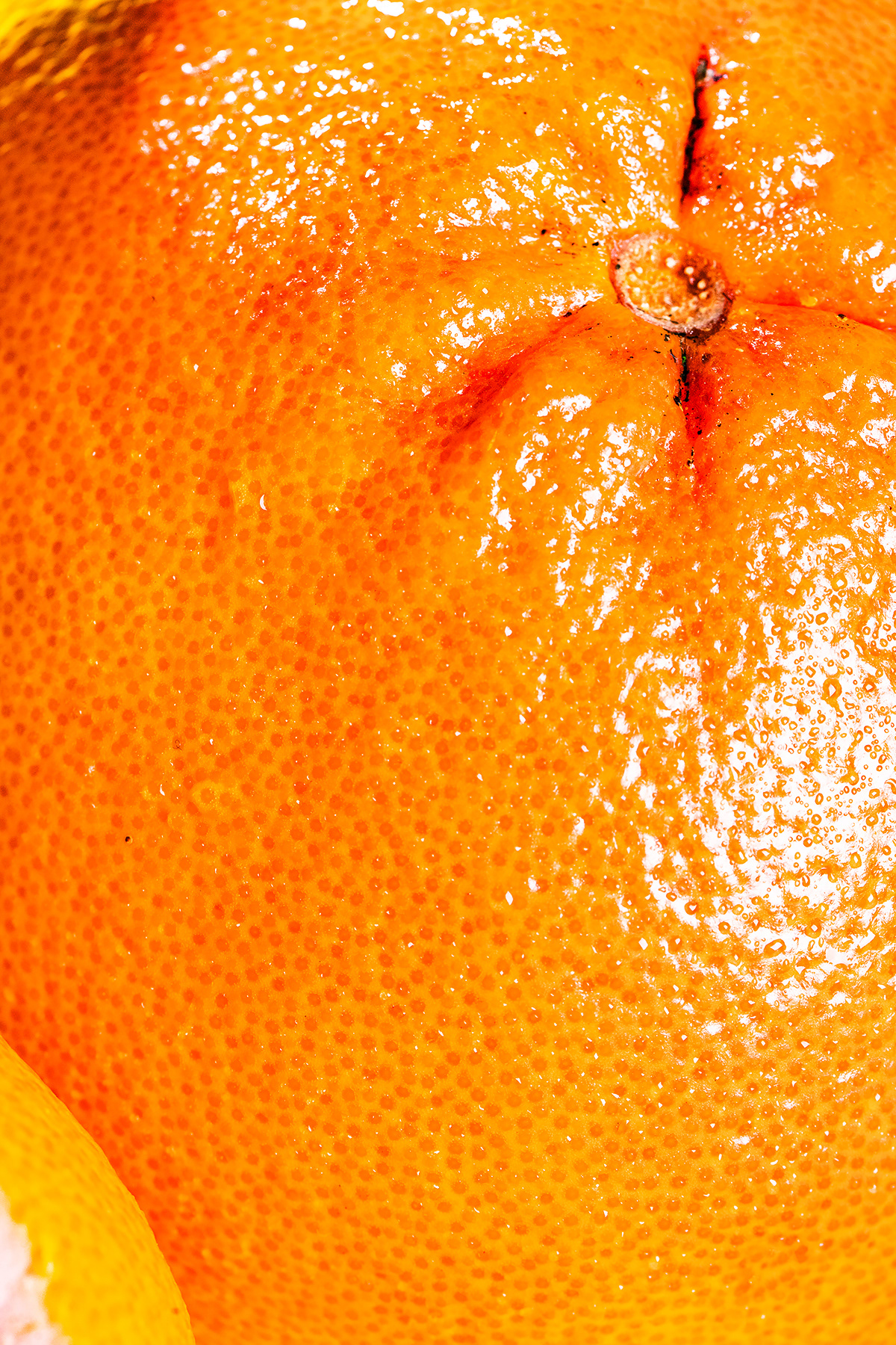 colors crops foodphoto foodphotography fresh fruits juicy organic Reastaurant veg