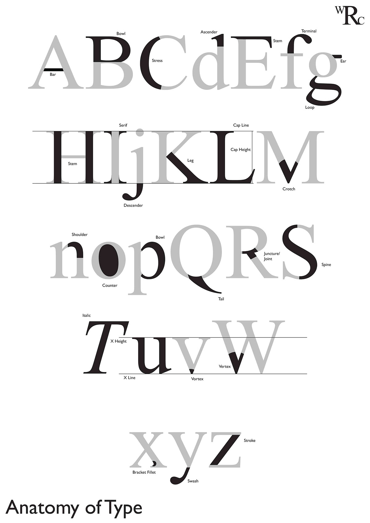 Typeface Type Anatomy anatomy description tonal range black White alphabet