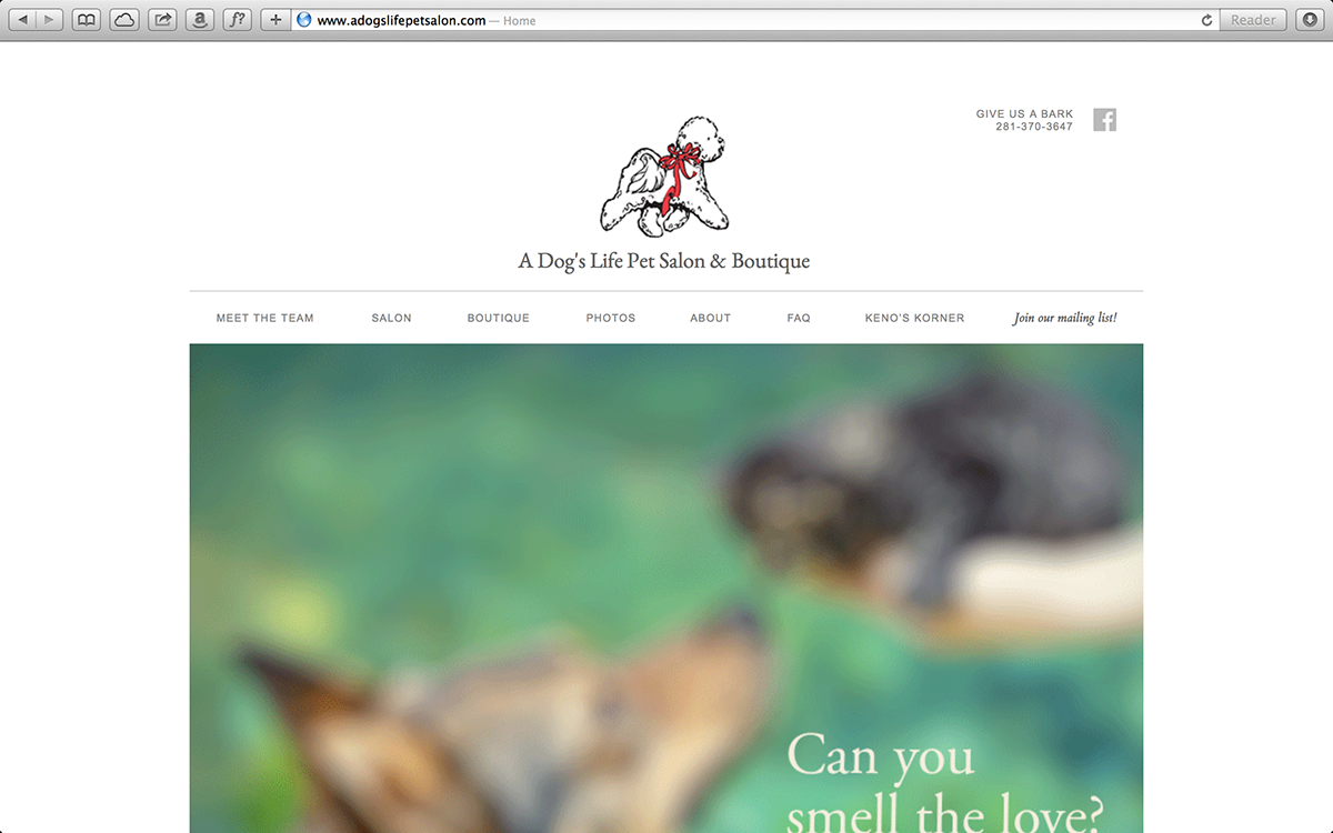 Website Pet dog Cat salon boutique