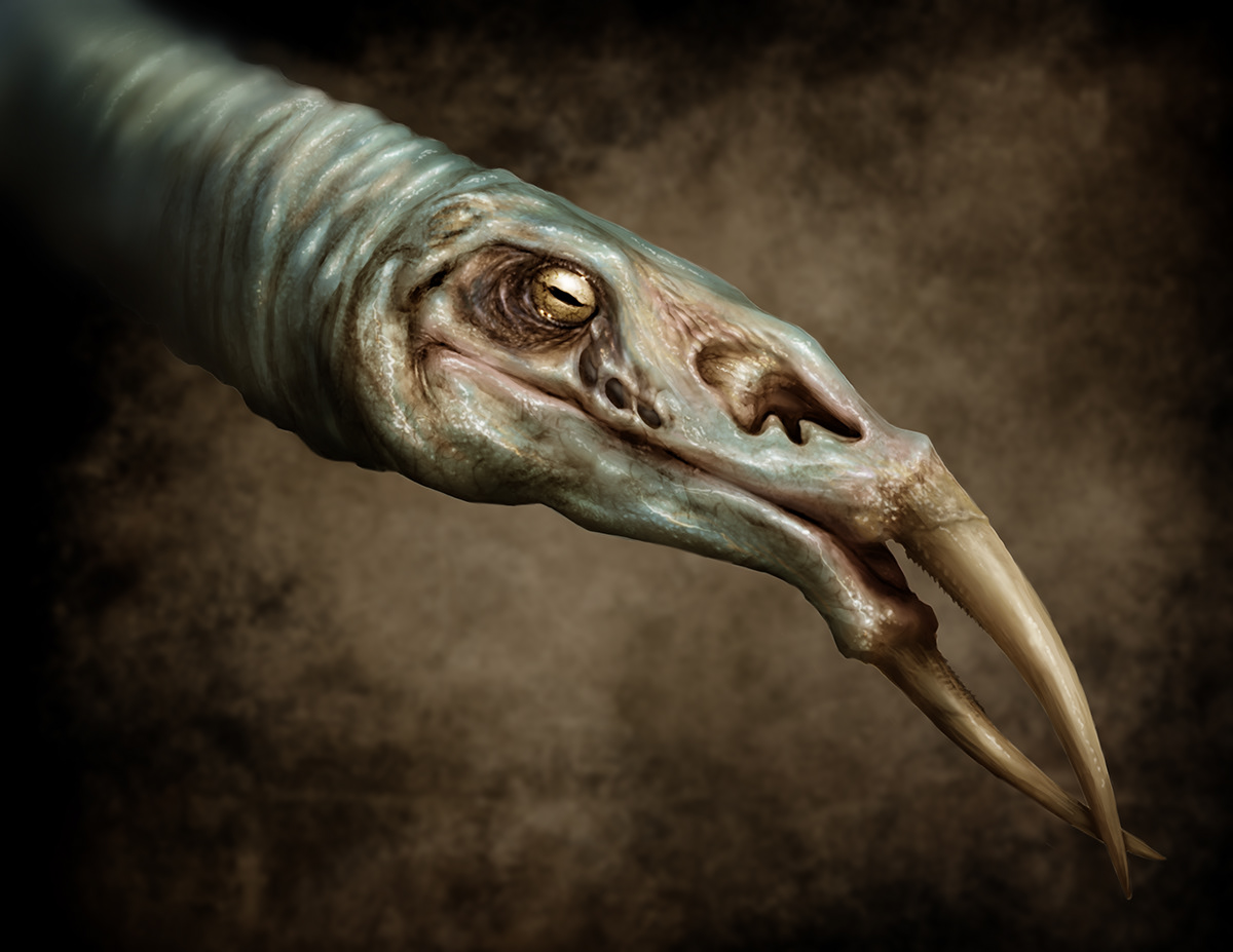 creature Creature Design fantasy digital illustration Orthographics
