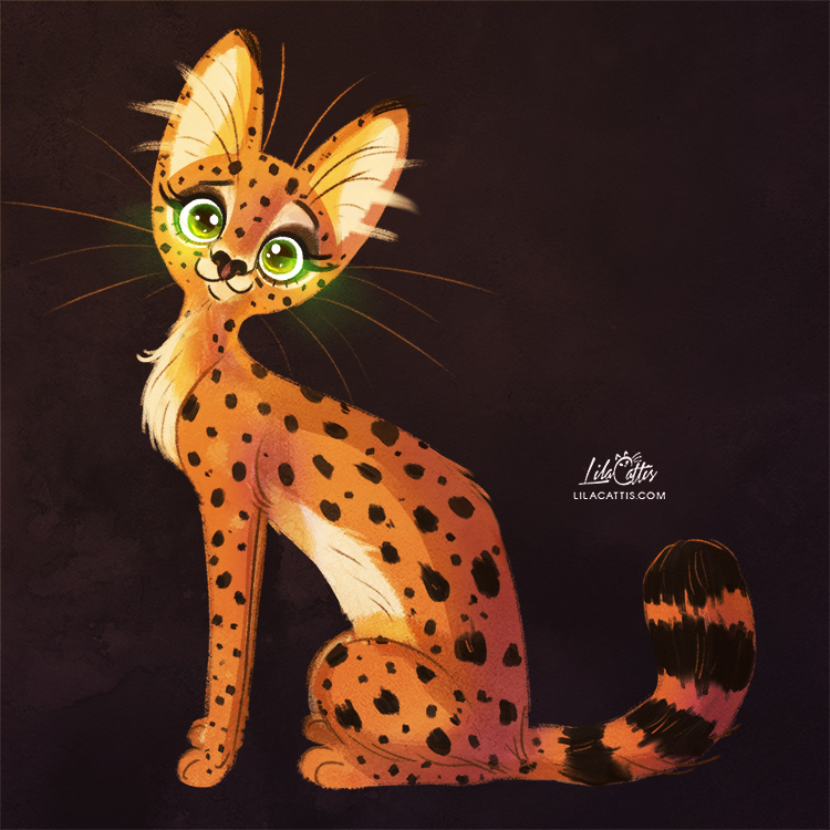 animals serval kitty FOX art Digital Art  ILLUSTRATION 