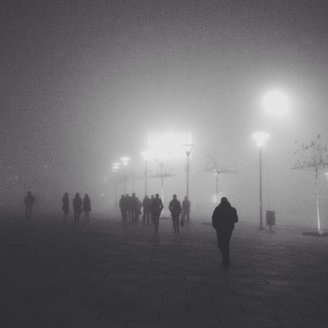 fog city photo creative Nature