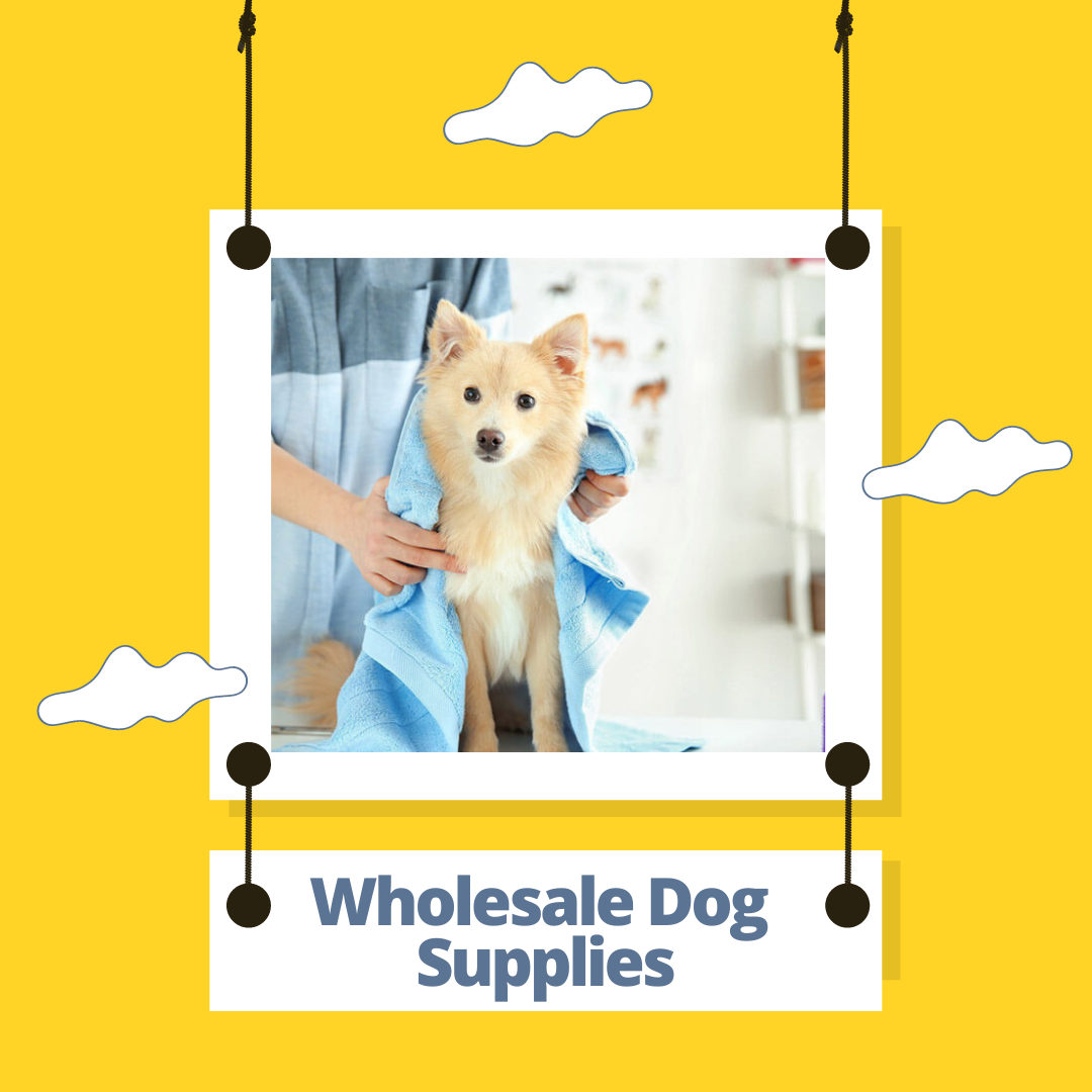 dog dog supplies Pet Wholesale Dog Supplies