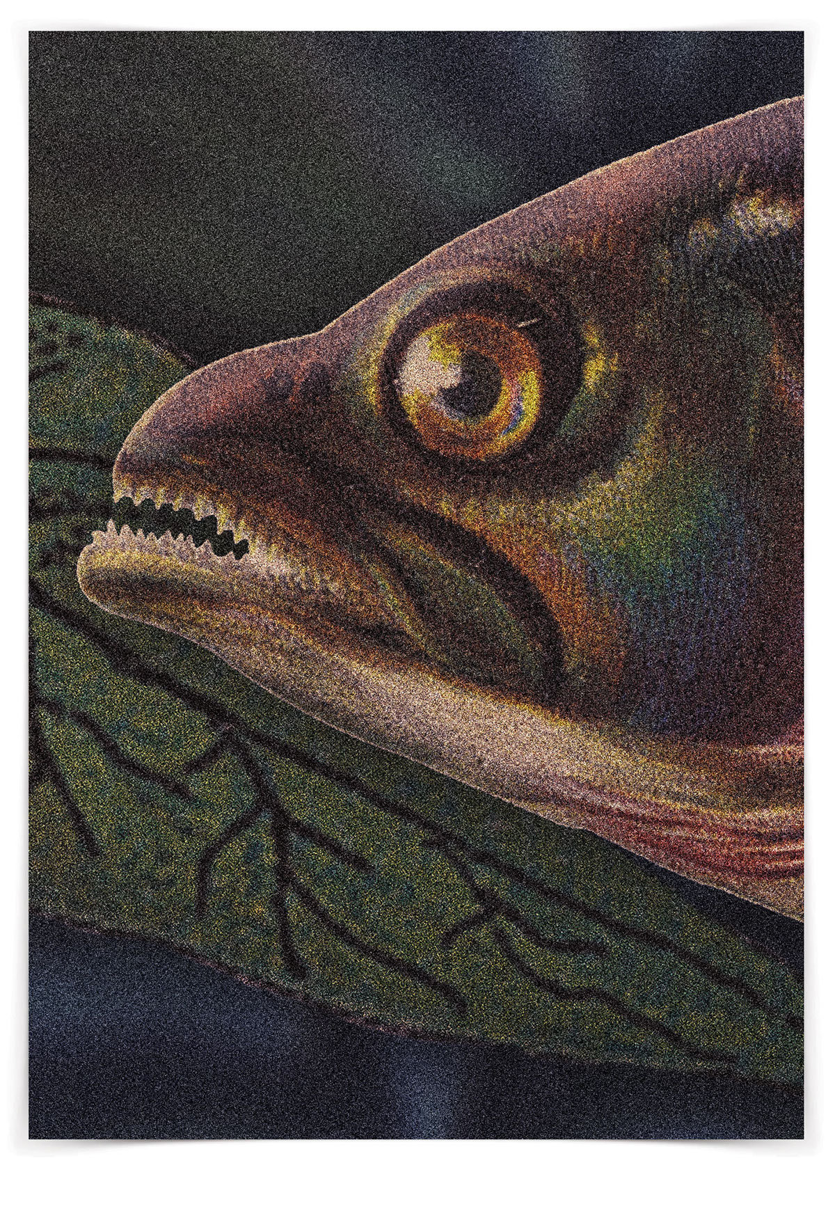 borutta MACHALSKI ASP poster fish water old illustration Exhibition Poster