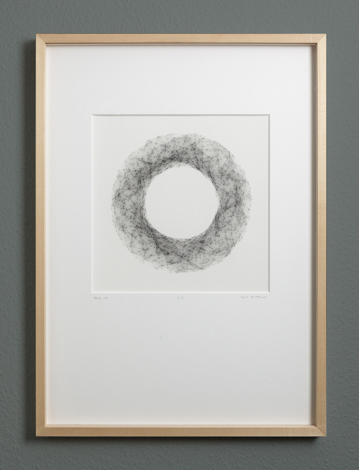 Adobe Portfolio generative kunst generativ Generativ Art ring rings frame fine art prints Hahnemühle Alan Turing programing algorithm Morphogenesis reaction diffusion