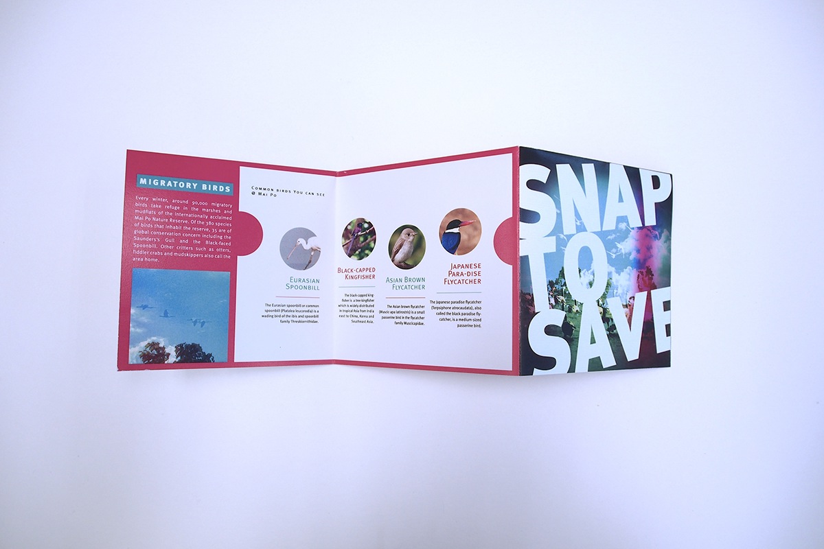 #SnapToSave #SavingNature #Photocompetition #lomography