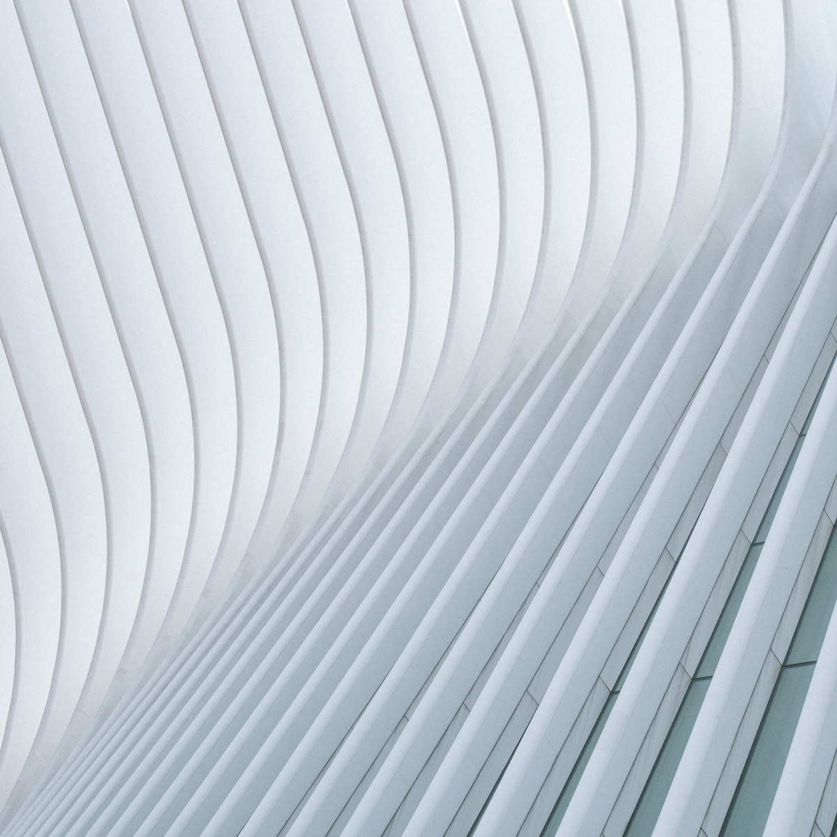 Oculus New York architecture Manhattan composition modern fine art united states World Trade Center