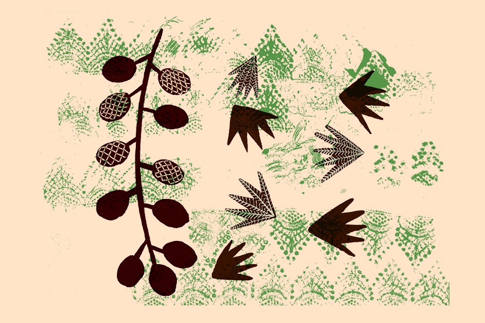 Ilustração bordado handmade Embroidery penandink Coffee texture botanical cerrado cafe stenciling monoprinting